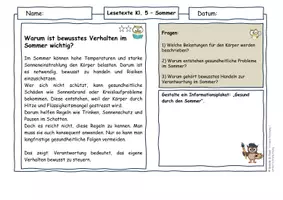 Vorschau - Arbeitsblätter - Sommer Klasse 5 | Lesetexte & Sachtexte | Verantwortung & Gesundheit | differenziert mit Lösungen - Seite 2
