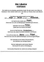 Vorschau - Arbeitsblätter - Körperbau der Libelle – Arbeitsblätter | Grundschule - Seite 3
