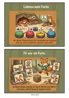 Vorschau - Stationenlernen - Projektmappe „Fuchs“ – für den Kindergarten - Seite 1