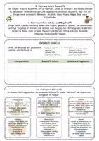 Vorschau - Unterrichtsreihen - Warum muss der Mensch essen? – Nahrung, Energie und Nährstoffe verstehen - Arbeitsblatt mit Fallimpuls, Nährstoff-Steckbrief, Lösung und S/W-Version - Seite 2