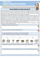 Vorschau - Arbeitsblätter - Fossilien als Belege für die Evolution | Arbeitsblätter mit Lösungen und Präsentation (Klasse 9/10) - Seite 1