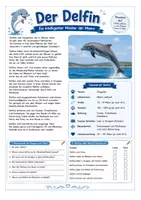 Vorschau - Arbeitsblätter - Der Delfin - Sachtext mit Fragen, Lesespur und Ausmalbild Klasse 3-4 - Seite 1