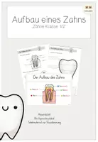 Vorschau - Unterrichtsreihen - Unterrichtsreihe 'Unsere Zähne': Aufbau des Zahns - Deckblatt