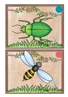 Vorschau - Stundenentwürfe - Sprachförderung Insekten (Vorschule, VKL, Sprachfit) - Seite 3