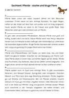 Vorschau - Stundenentwürfe - Sachtexte lesen und Verstehen - Pferde - Seite 2