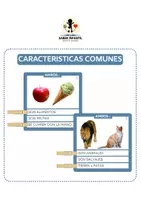 Vista previa - Unidades / Secuencias / Situaciones de Aprendizaje - CARACTERÍSTICAS COMUNES - Portada