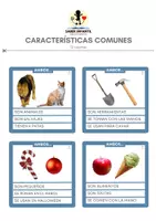 Vista previa - Unidades / Secuencias / Situaciones de Aprendizaje - CARACTERÍSTICAS COMUNES - página 1