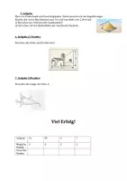 Vorschau - Arbeitsblätter - Klassenarbeit Körperberechnung Prismen und Spitzkörper und Kugel - Seite 1