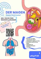 Vorschau - Arbeitsblätter - DER MAGEN - Arbeitsheft Pflege & Biologie mit QR-Code, Fallbeispiel & Lösungen - Deckblatt
