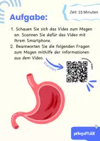 Vorschau - Arbeitsblätter - DER MAGEN - Arbeitsheft Pflege & Biologie mit QR-Code, Fallbeispiel & Lösungen - Seite 1
