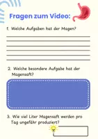 Vorschau - Arbeitsblätter - DER MAGEN - Arbeitsheft Pflege & Biologie mit QR-Code, Fallbeispiel & Lösungen - Seite 2