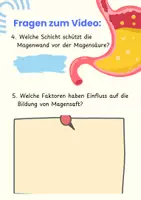 Vorschau - Arbeitsblätter - DER MAGEN - Arbeitsheft Pflege & Biologie mit QR-Code, Fallbeispiel & Lösungen - Seite 3