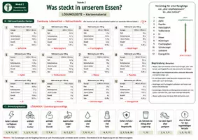 Vorschau - Bildkarten - Karten: Was steckt in unserem Essen? – Kartenmaterial mit Lebensmittelkarten, Nährwerttabellen, Bewertungskarten, Lösung und S/W-Version - Seite 3