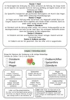 Vorschau - Unterrichtsreihen - Der Weg der Nahrung durch den Körper - Arbeitsblatt mit Fallimpuls, Organbeschriftung, Lösung und S/W-Version - Seite 2