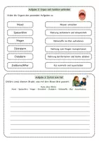 Vorschau - Unterrichtsreihen - Der Weg der Nahrung durch den Körper - Arbeitsblatt mit Fallimpuls, Organbeschriftung, Lösung und S/W-Version - Seite 3