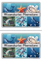 Vorschau - Stationenlernen - Wissenskartei Meerestiere 🐋🌊 | 20 Infokarten inkl. Fragen & Lösungen – Klasse 3 bis 4 | Sachunterricht & Lesen - Seite 2