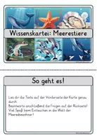 Vorschau - Stationenlernen - Wissenskartei Meerestiere 🐋🌊 | 20 Infokarten inkl. Fragen & Lösungen – Klasse 3 bis 4 | Sachunterricht & Lesen - Seite 3