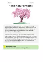 Vorschau - Stundenentwürfe - Sachtexte Klasse 3 – Frühling | Arbeitsblätter mit Fragen & Lösungen - Seite 2