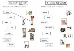 Vorschau - Arbeitsblätter - Zoo/wild animals - body parts (Wortschatzarbeit) differenziert - Seite 1