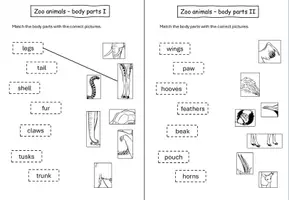 Vorschau - Arbeitsblätter - Zoo/wild animals - body parts (Wortschatzarbeit) differenziert - Seite 2