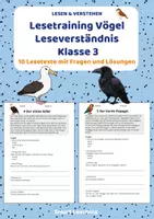 Vorschau - Stundenentwürfe - Lesetraining Vögel | Leseverständnis Klasse 3 - Deckblatt