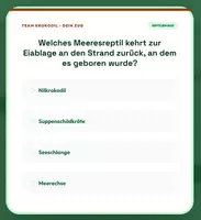 Vorschau - Spiele - Wissenpyramide: Reptilien - Seite 3