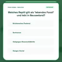 Vorschau - Spiele - Wissenpyramide: Reptilien - Seite 2