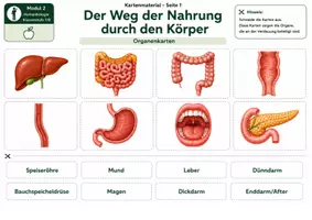 Vorschau - Bildkarten - Karten: Der Weg der Nahrung durch den Körper – Kartenmaterial mit Organkarten, Funktionskarten, Prozesskarten und S/W-Versionen - Seite 1