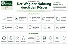 Vorschau - Bildkarten - Karten: Der Weg der Nahrung durch den Körper – Kartenmaterial mit Organkarten, Funktionskarten, Prozesskarten und S/W-Versionen - Seite 2