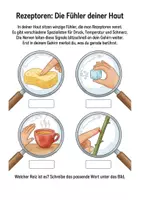 Vorschau - Arbeitsblätter - Die Haut‑Experten: Unser größtes Sinnesorgan verstehen · Arbeitsheft + Experimente · Klasse 3–4 - Seite 3