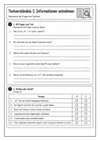 Vorschau - Arbeitsblätter - 67 – Six Seven verstehen – Jugendsprache, Social Media & digitale Jugendkultur | Deutsch Klasse 7/8 - Seite 3