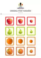 Vista previa - Unidades / Secuencias / Situaciones de Aprendizaje - ORDENA POR TAMAÑO - página 1