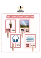 Vista previa - Unidades / Secuencias / Situaciones de Aprendizaje - RECONOCE LOS SENTIDOS - Portada