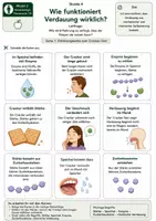Vorschau - Bildkarten - Karten: Wie funktioniert Verdauung wirklich? - Kartenmaterial mit Erklärungskette zum Cracker-Test, Sortieraufgabe, Lösung und S/W-Version - Seite 1
