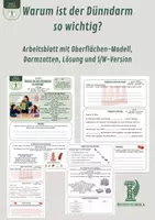 Vorschau - Unterrichtsreihen - Warum ist der Dünndarm so wichtig? - Arbeitsblatt mit Oberflächen-Modell, Darmzotten, Lösung und S/W-Version - Deckblatt
