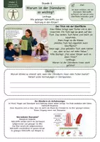 Vorschau - Unterrichtsreihen - Warum ist der Dünndarm so wichtig? - Arbeitsblatt mit Oberflächen-Modell, Darmzotten, Lösung und S/W-Version - Seite 1