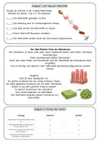Vorschau - Unterrichtsreihen - Warum ist der Dünndarm so wichtig? - Arbeitsblatt mit Oberflächen-Modell, Darmzotten, Lösung und S/W-Version - Seite 2