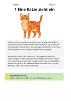 Vorschau - Stundenentwürfe - Sachtexte Klasse 3 – Katze | Arbeitsblätter Deutsch - Seite 2