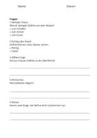Vorschau - Stundenentwürfe - Sachtexte Klasse 3 – Delfin | Arbeitsblätter mit Fragen & Lösungen - Seite 3