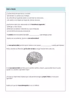 Vista previa - Unidades / Secuencias / Situaciones de Aprendizaje - Neurodivergencias ESO - dosier completo + rúbrica - proyecto cooperativo. - página 2