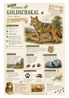 Vorschau - Arbeitsblätter - Goldschakal – kostenloses Materialpaket für Sachunterricht & Naturbildung | Bella Wildherz - Deckblatt