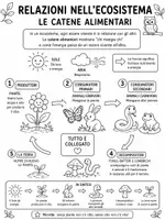 anteprima - Esercizi - Ecosistema e catena alimentare - Pagina 1