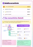 Vorschau - Arbeitsblätter - 🦴 Meine Lernmappe Skelett, Muskeln & Bewegung - Seite 2