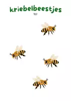 Voorbeeld - KleuterKlaar| Kriebelbeestjes: telbingo - Pagina 3