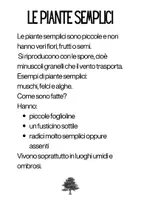 anteprima - Schede informative - Alla scoperta delle piante,Schede didattiche sulla fotosintesi - Pagina 2