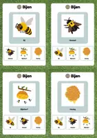 Voorbeeld - Kwartet - Thema: Kriebelbeestjes (Groep 1 - 5) - Pagina 1