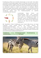 Vorschau - Arbeitsblätter - Fortpflanzung bei Tieren: Sexualität, Entwicklungsstrategien, Fortpflanzungsarten - Seite 3