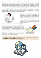 Vorschau - Arbeitsblätter - Was sind Naturstoffe? Biologie & Chemie - Seite 2