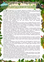Vorschau - Arbeitsblätter - Tropischer Regenwald - Plantagenwirtschaft - Deckblatt