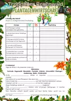Vorschau - Arbeitsblätter - Tropischer Regenwald - Plantagenwirtschaft - Seite 2